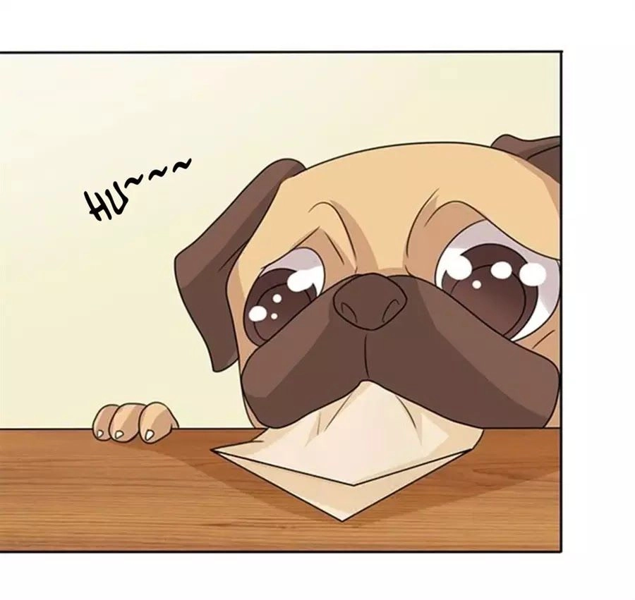 Vương Tử Nhà Tôi Là Nô Bộc Chapter 100 - 76