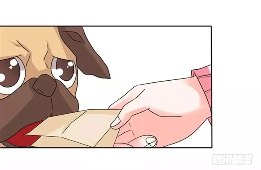 Vương Tử Nhà Tôi Là Nô Bộc Chapter 100 - 79