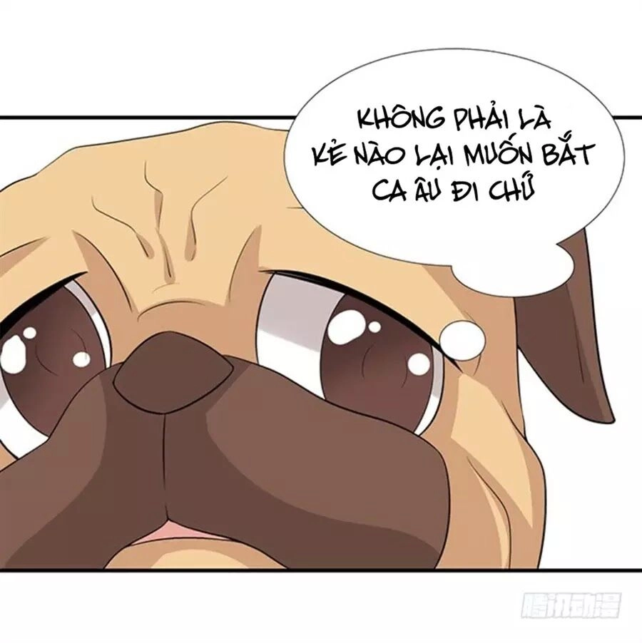 Vương Tử Nhà Tôi Là Nô Bộc Chapter 109 - 84