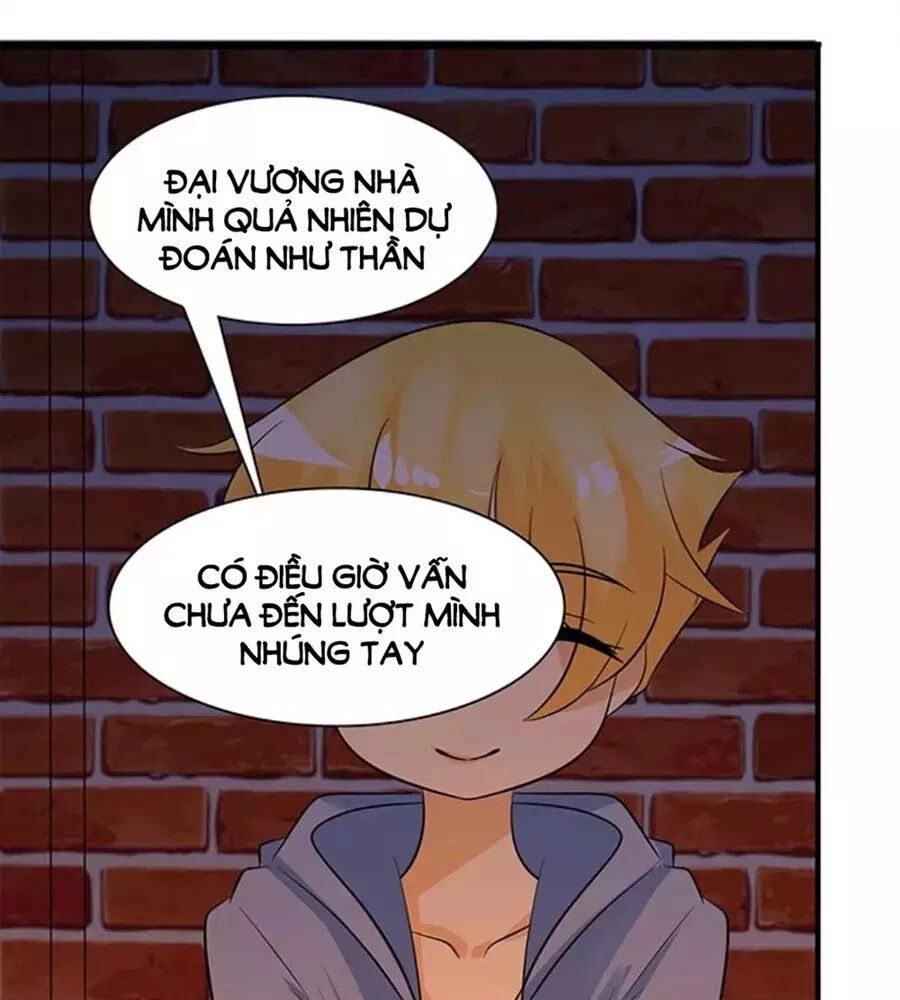 Vương Tử Nhà Tôi Là Nô Bộc Chapter 121 - 17