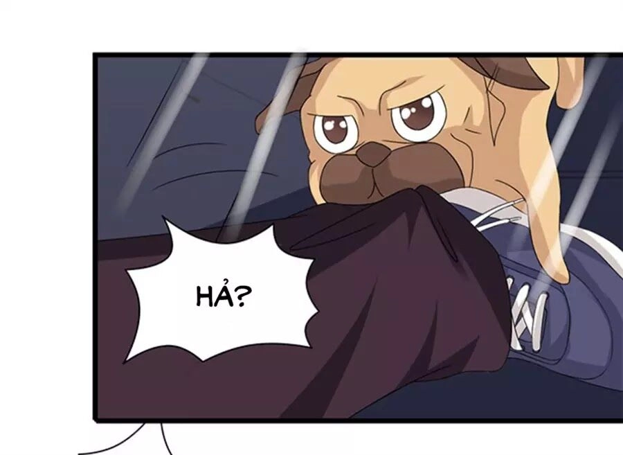 Vương Tử Nhà Tôi Là Nô Bộc Chapter 121 - 19