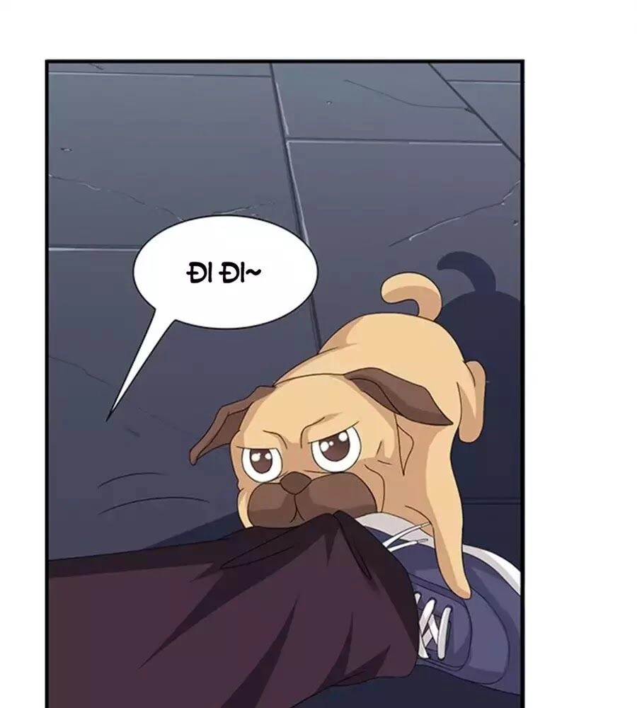 Vương Tử Nhà Tôi Là Nô Bộc Chapter 121 - 21