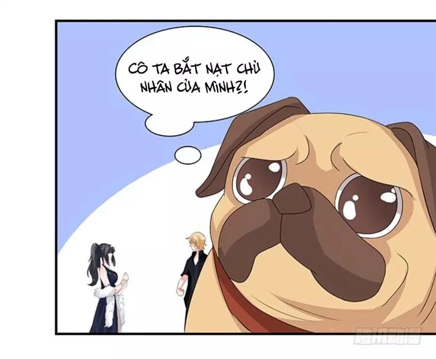 Vương Tử Nhà Tôi Là Nô Bộc Chapter 121 - 23