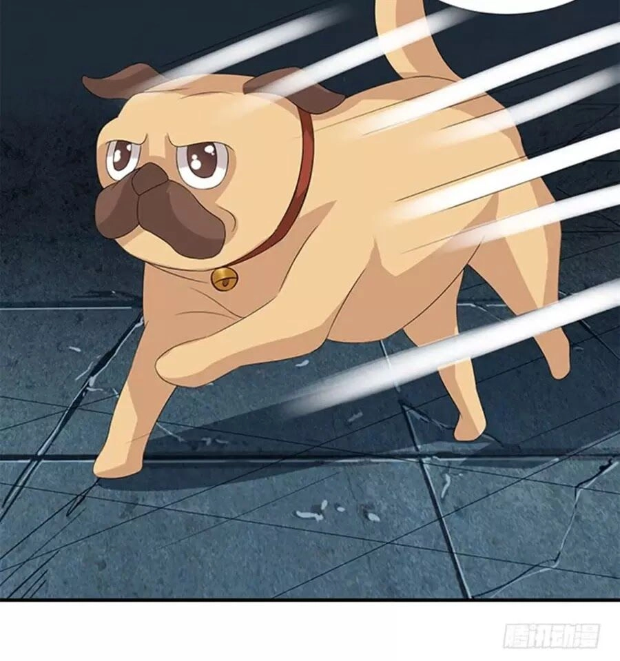 Vương Tử Nhà Tôi Là Nô Bộc Chapter 121 - 25