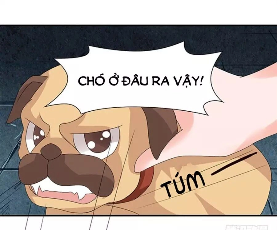 Vương Tử Nhà Tôi Là Nô Bộc Chapter 121 - 30