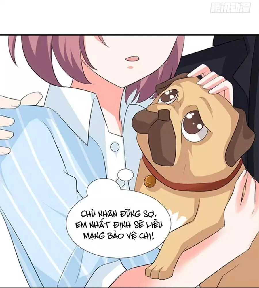 Vương Tử Nhà Tôi Là Nô Bộc Chapter 121 - 63