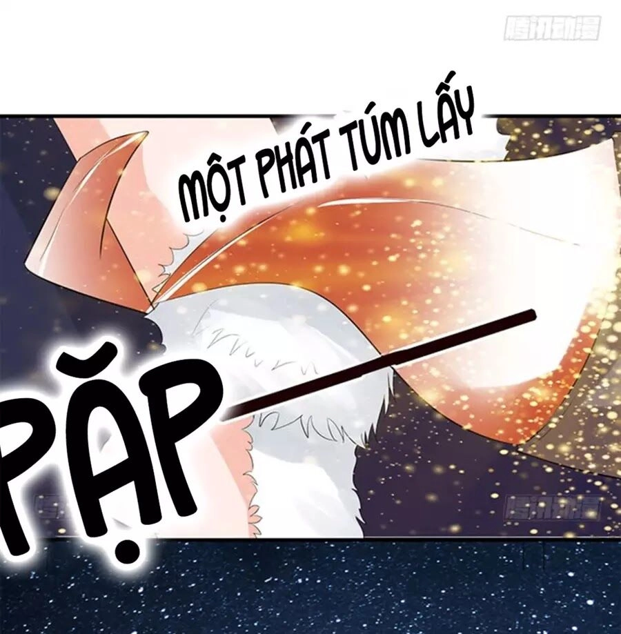 Vương Tử Nhà Tôi Là Nô Bộc Chapter 121 - 71