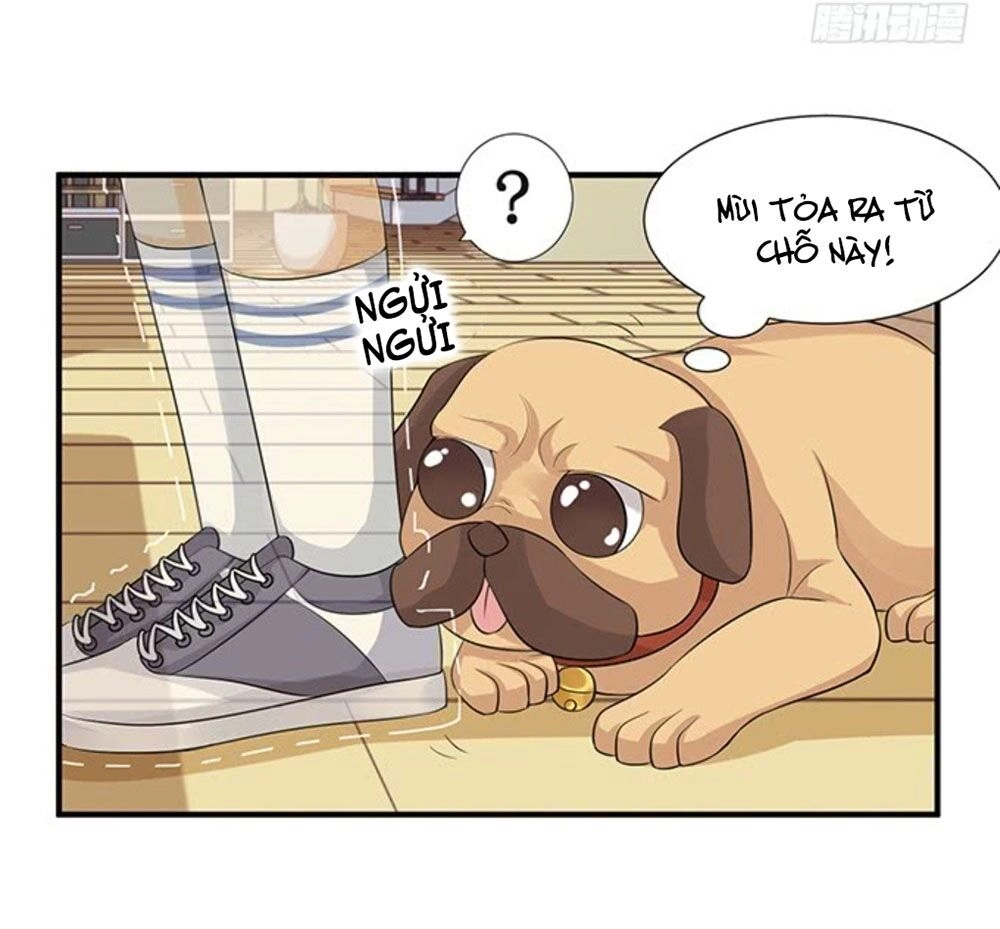 Vương Tử Nhà Tôi Là Nô Bộc Chapter 130 - 49