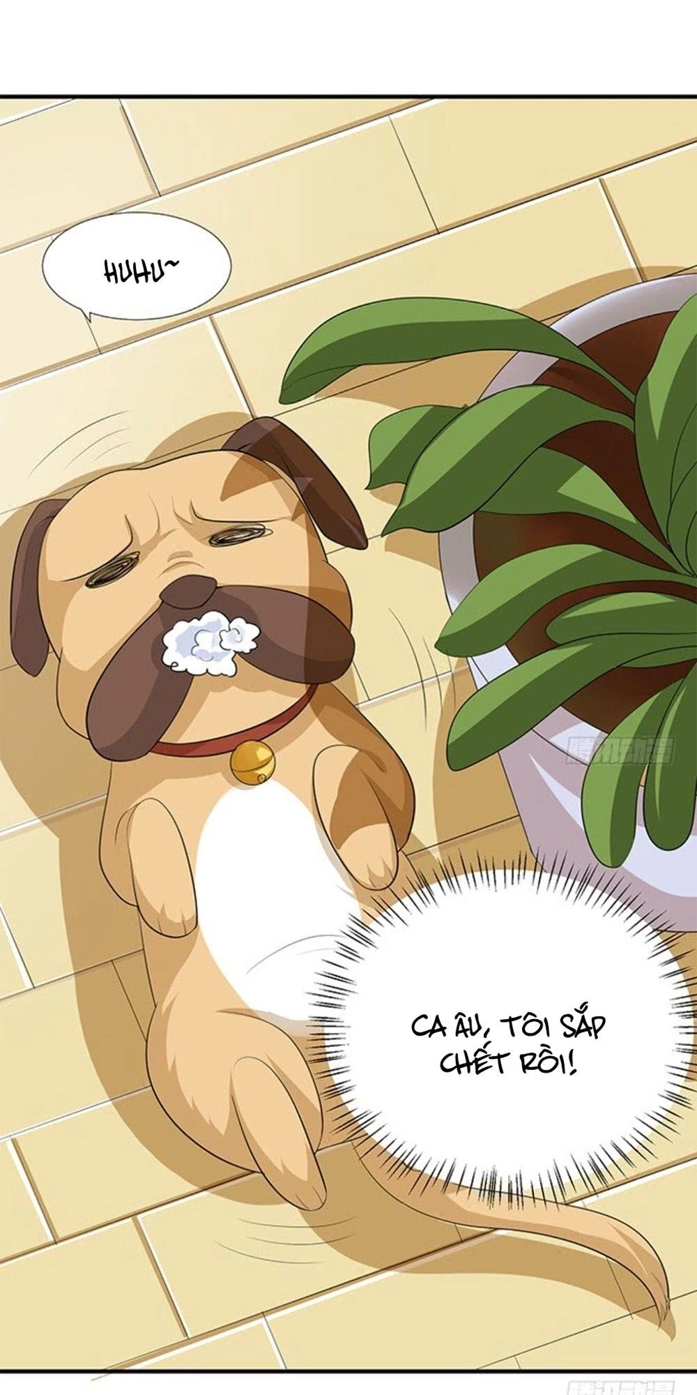 Vương Tử Nhà Tôi Là Nô Bộc Chapter 139 - 7