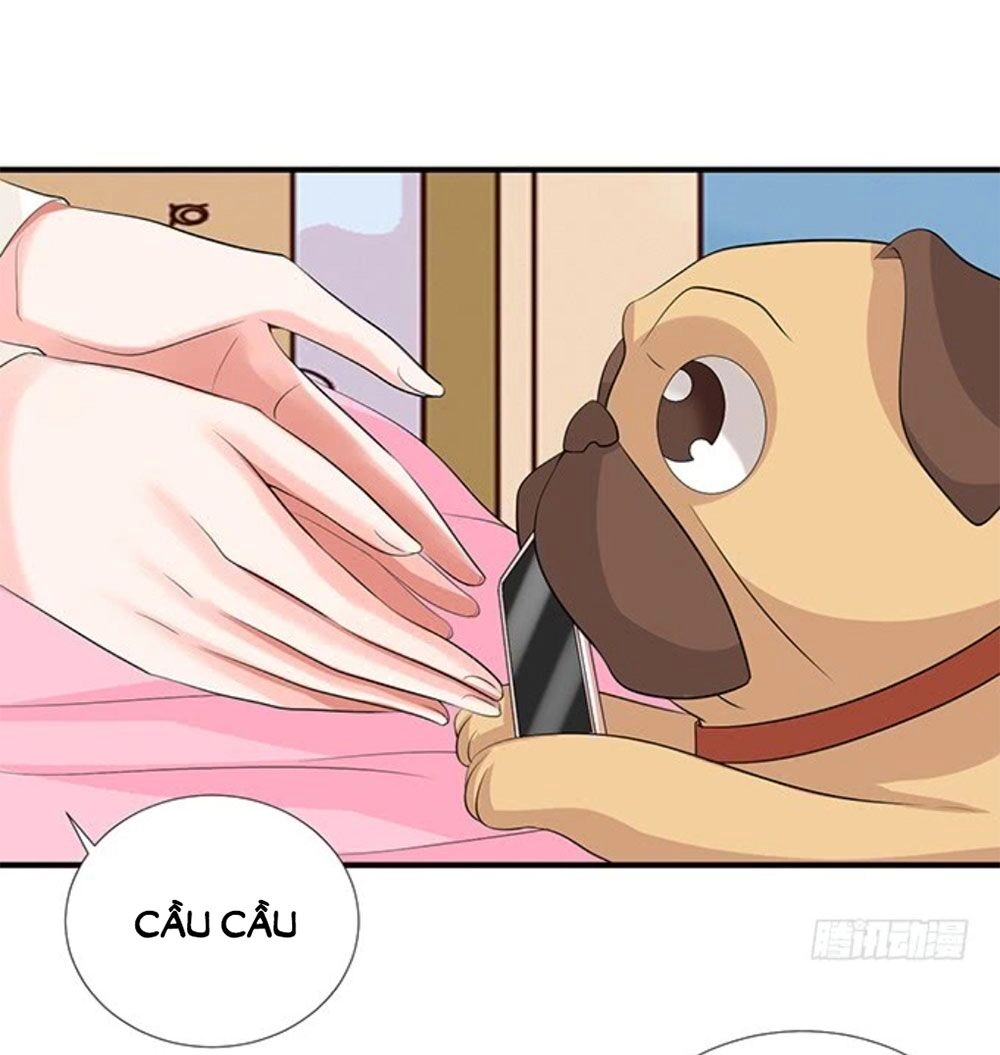 Vương Tử Nhà Tôi Là Nô Bộc Chapter 146 - 13