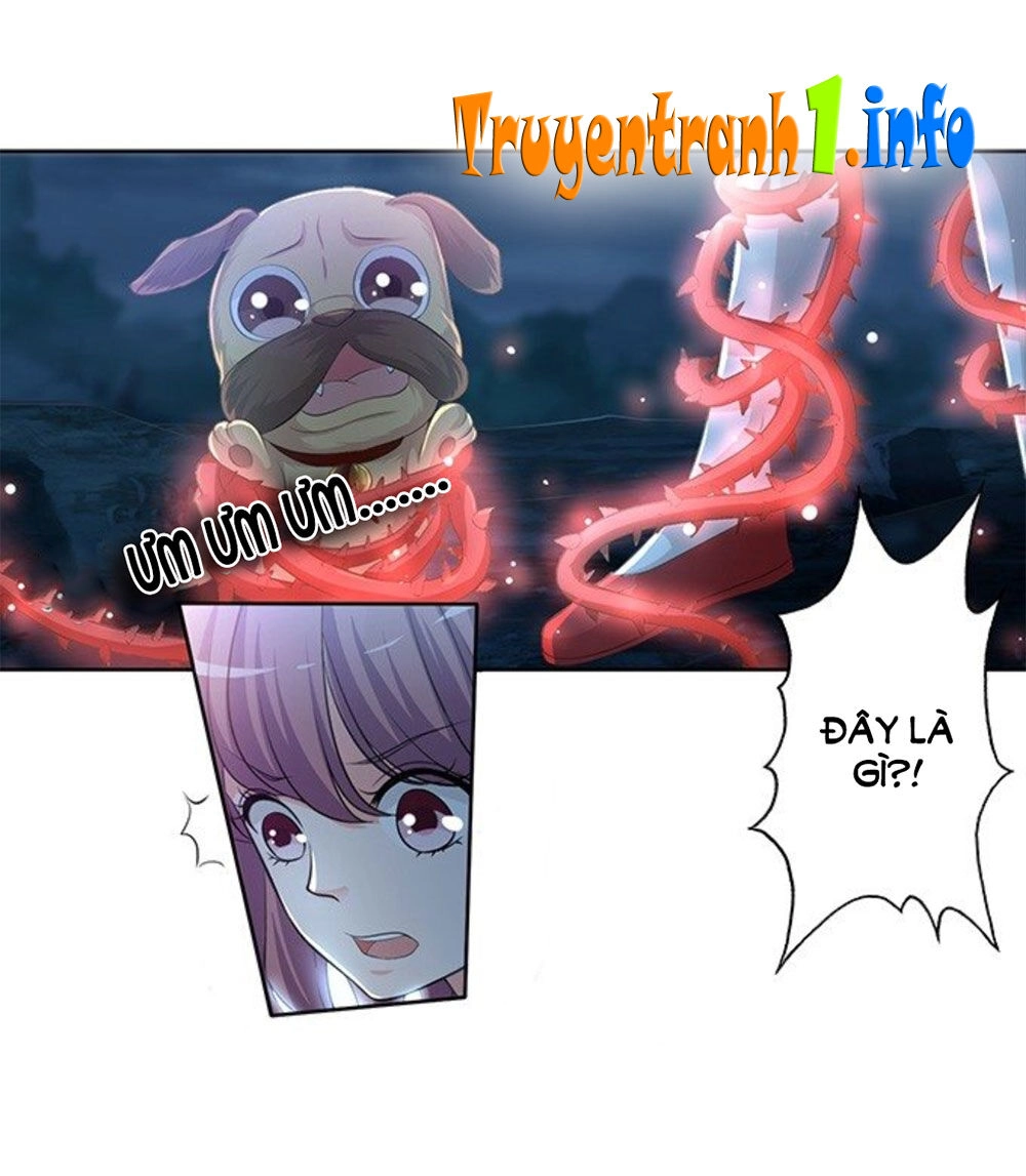 Vương Tử Nhà Tôi Là Nô Bộc Chapter 160 - 39