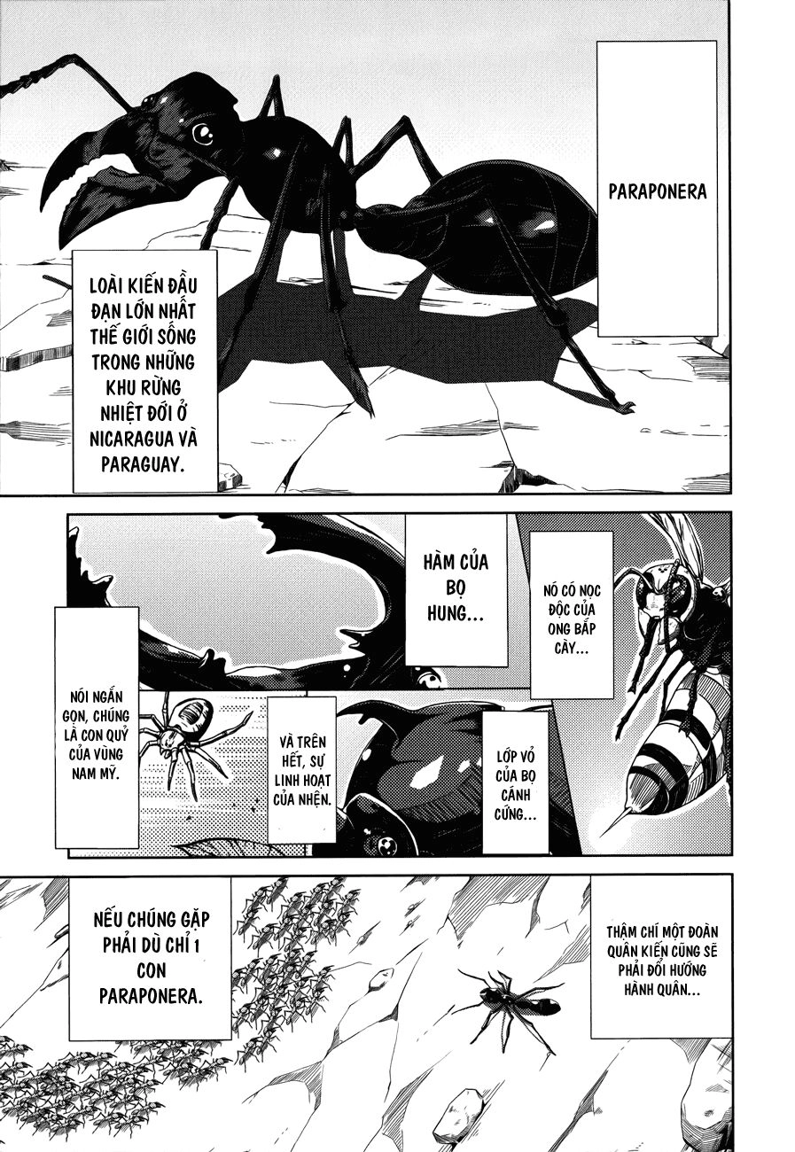 Caterpillar Chapter 4 - 3