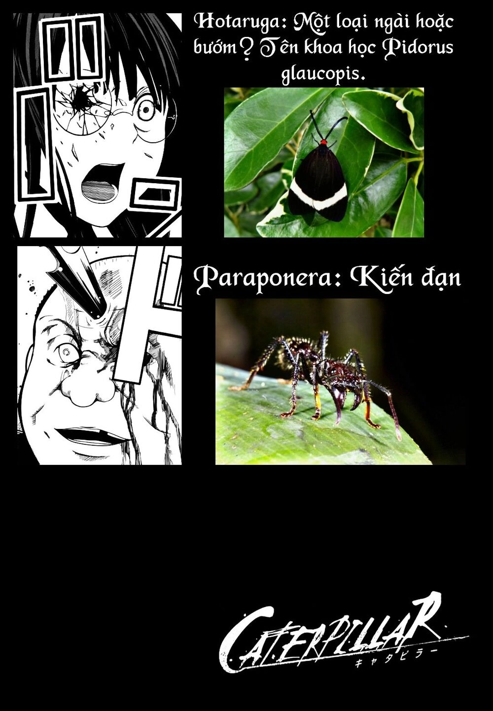 Caterpillar Chapter 6 - 3