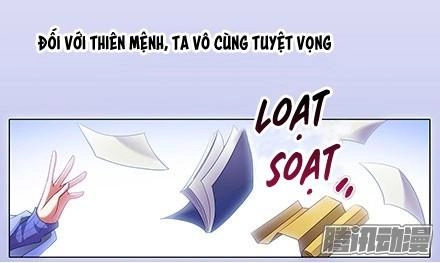 Đầu Óc Đại Sư Huynh Của Ta Rất Đen Tối Chapter 130 - 6