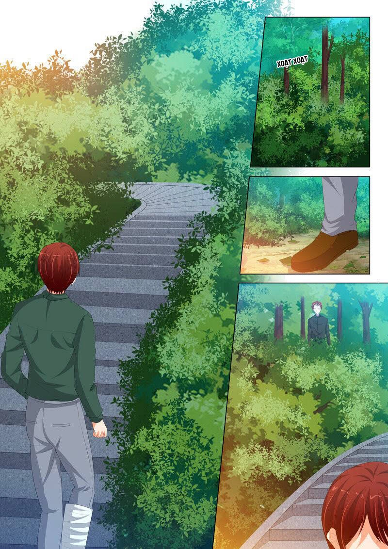 Băng Sơn Thủ Tế Chapter 206 - 9