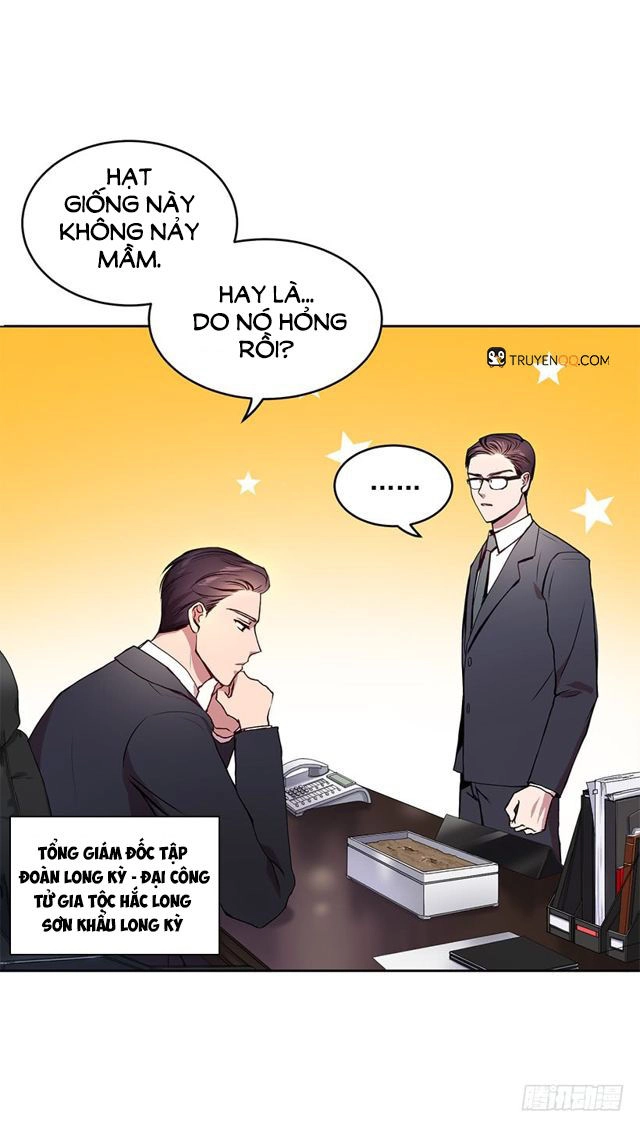 Người Yêu Của Rồng Đen Chapter 5 - 33