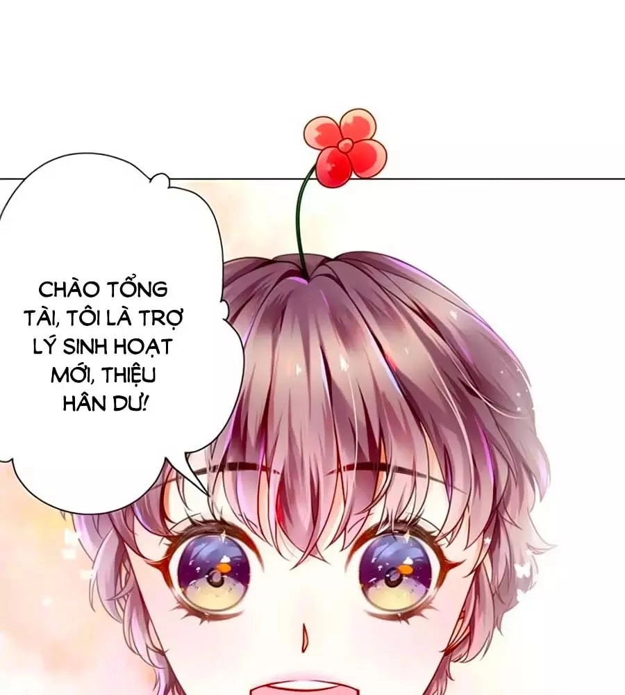 Ma Vương Sau Bộ Vest: Tổng Tài Khó Chiều Cưa Không Nổi Chapter 3 - 1