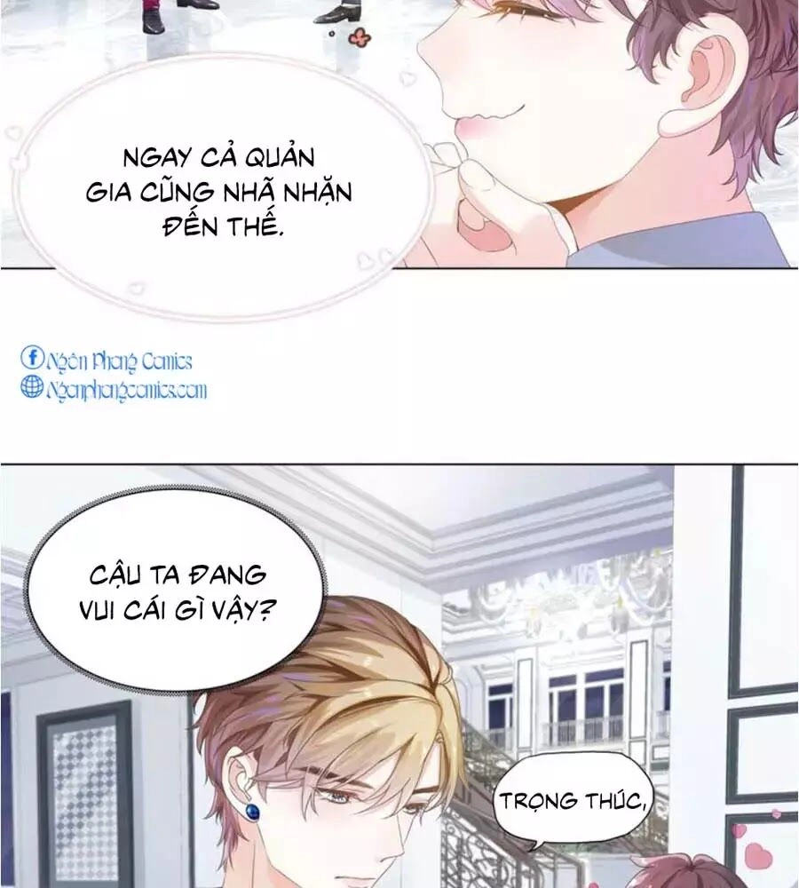 Ma Vương Sau Bộ Vest: Tổng Tài Khó Chiều Cưa Không Nổi Chapter 4 - 7