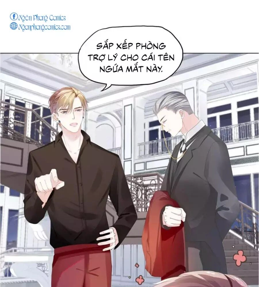 Ma Vương Sau Bộ Vest: Tổng Tài Khó Chiều Cưa Không Nổi Chapter 4 - 9