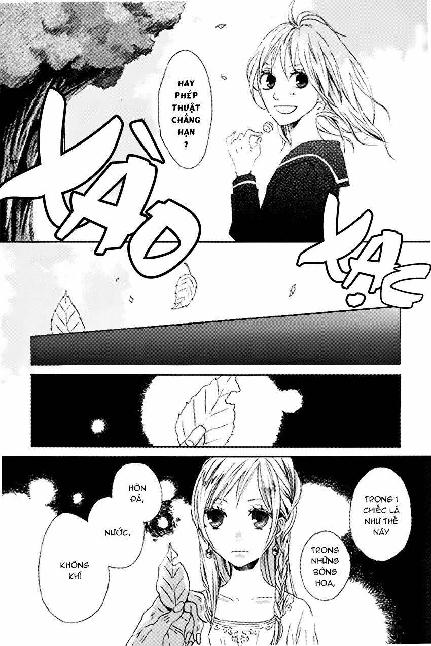 Phép Lạ Của Chúng Ta Chapter 1.1 - 21