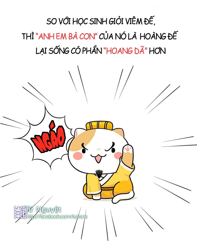 Nếu Lịch Sử Là Một Bầy Mèo Chapter 1 - 23