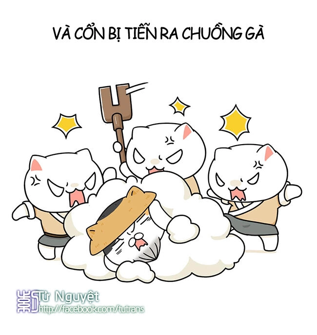 Nếu Lịch Sử Là Một Bầy Mèo Chapter 4 - 13