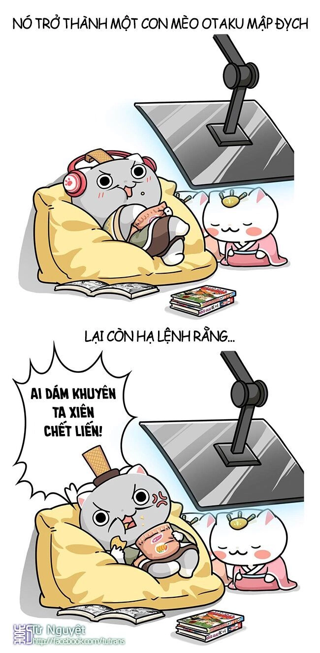 Nếu Lịch Sử Là Một Bầy Mèo Chapter 16 - 11