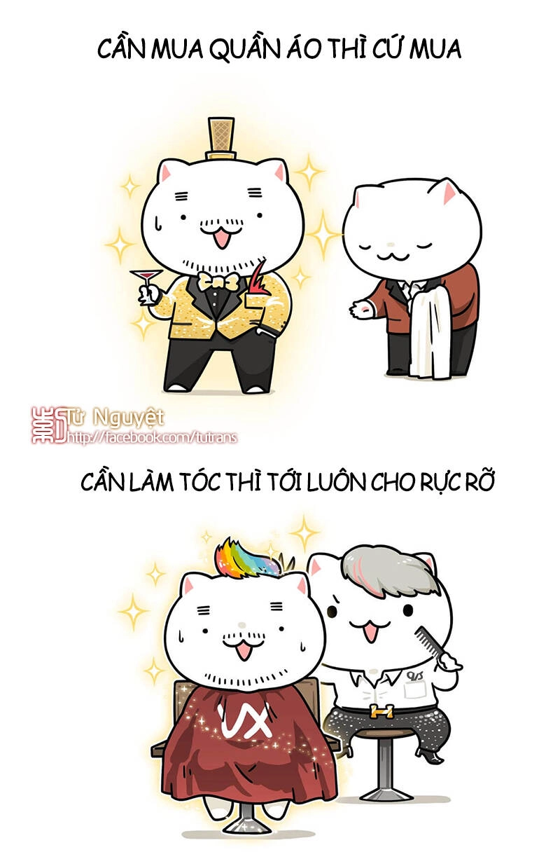 Nếu Lịch Sử Là Một Bầy Mèo Chapter 24 - 16