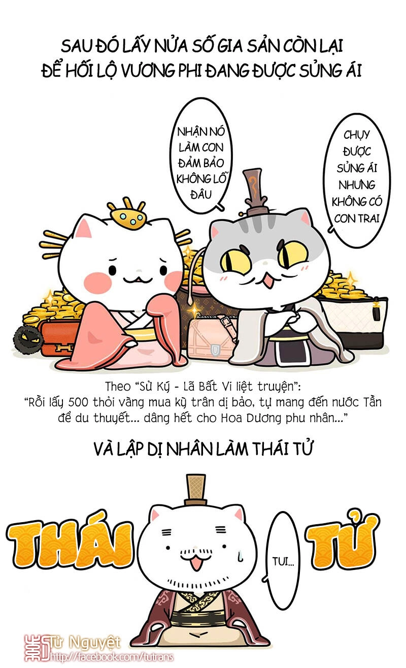 Nếu Lịch Sử Là Một Bầy Mèo Chapter 24 - 17