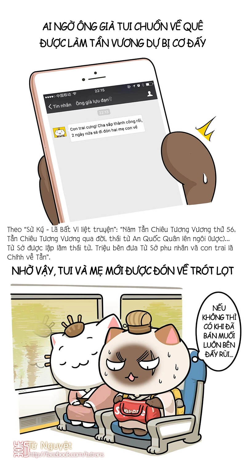 Nếu Lịch Sử Là Một Bầy Mèo Chapter 25 - 12