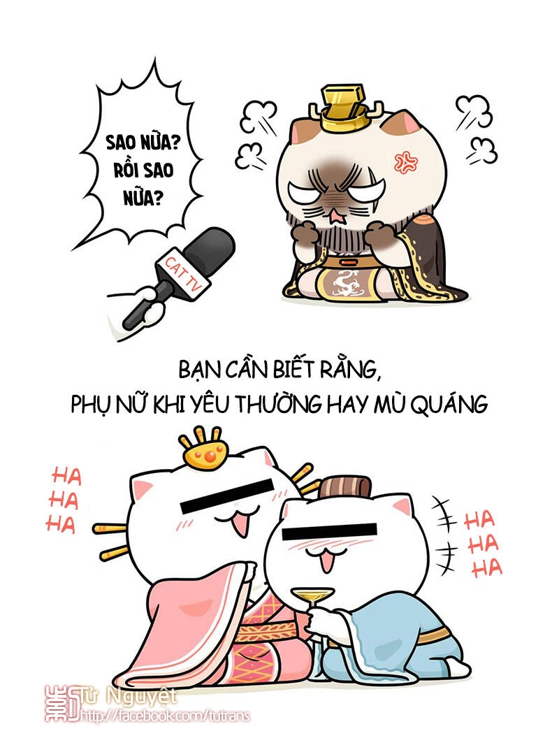 Nếu Lịch Sử Là Một Bầy Mèo Chapter 25 - 25