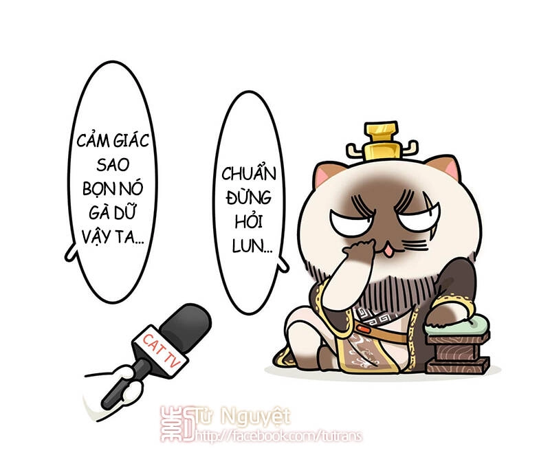 Nếu Lịch Sử Là Một Bầy Mèo Chapter 25 - 30