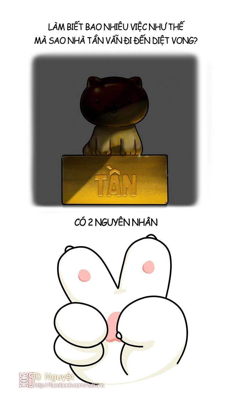 Nếu Lịch Sử Là Một Bầy Mèo Chapter 27 - 17