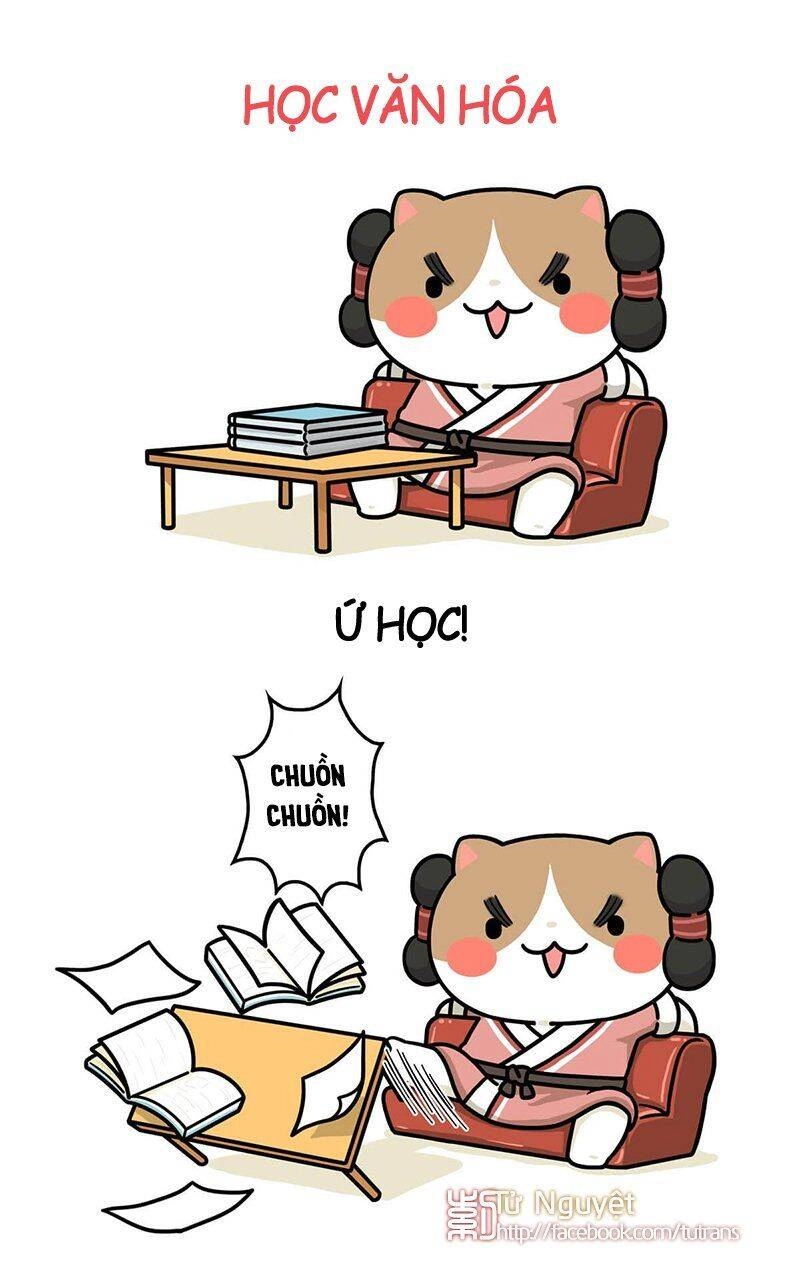 Nếu Lịch Sử Là Một Bầy Mèo Chapter 29 - 13