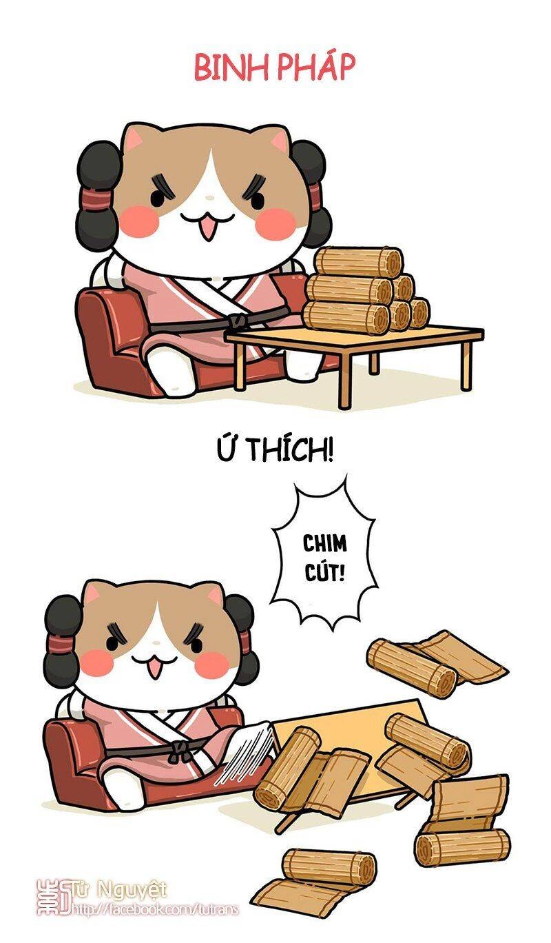 Nếu Lịch Sử Là Một Bầy Mèo Chapter 29 - 14