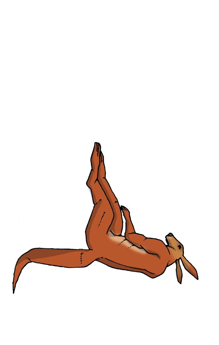 Mắc Kẹt Trên Mặt Trăng Chapter 9 - 51