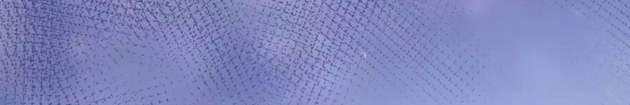 Ma Tôn Muốn Ôm Ôm Chapter 11.1 - 43