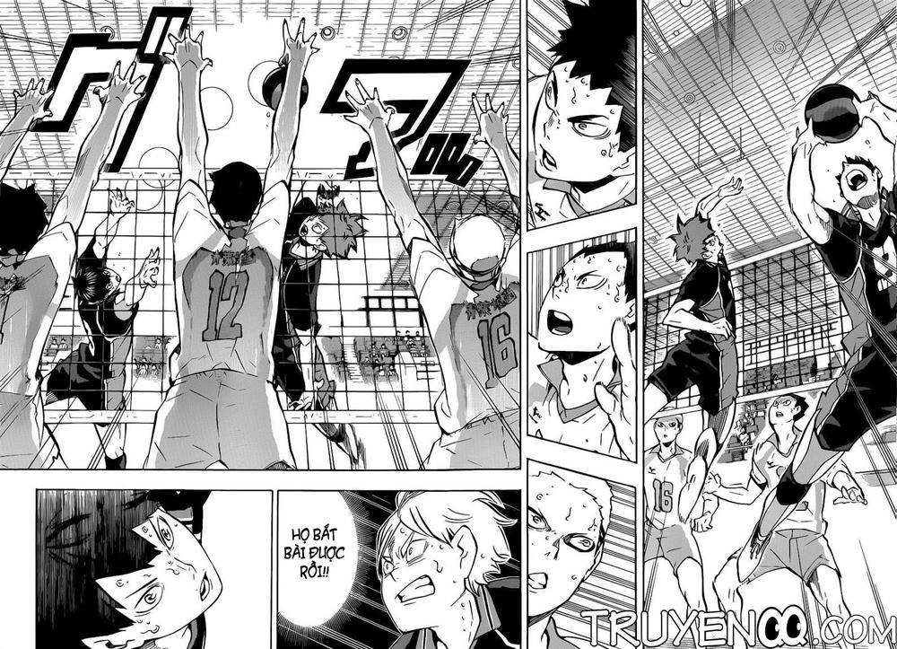 Haikyuu Chapter 147 - 8