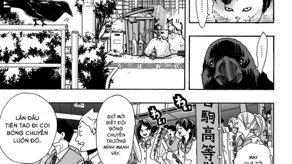 Haikyuu Chapter 294 - 4