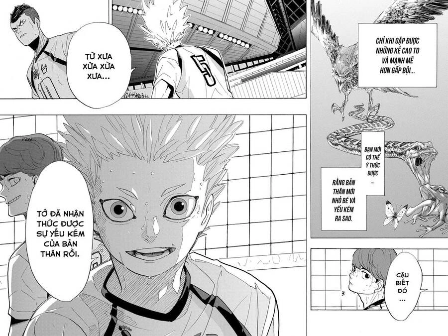 Haikyuu Chapter 343 - 20