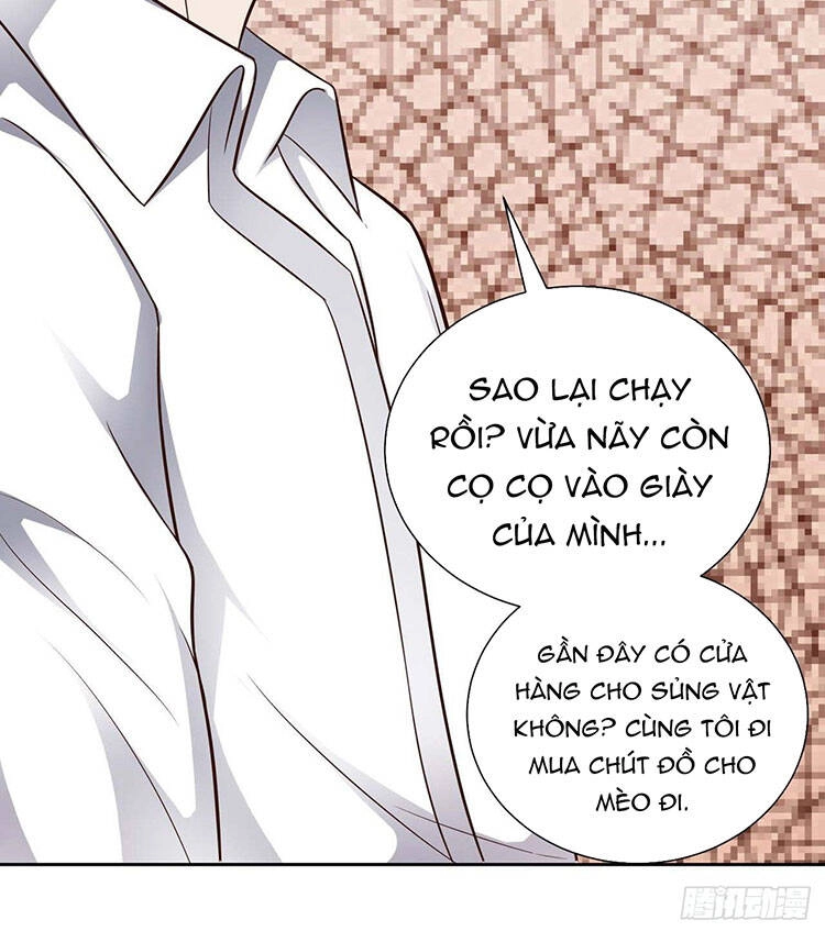 Nghịch Lai Chuyển Sinh: Gặp Phải Tần Tiên Sinh Chapter 50 - 27