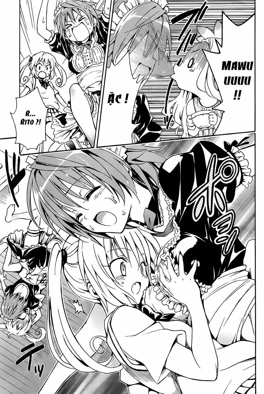 Bọn Tớ Thích Cậu! Rito 2 - Venus Chapter 8 - 22