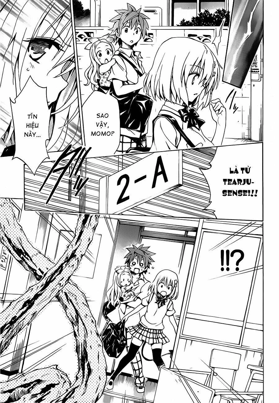 Bọn Tớ Thích Cậu! Rito 2 - Venus Chapter 19 - 22