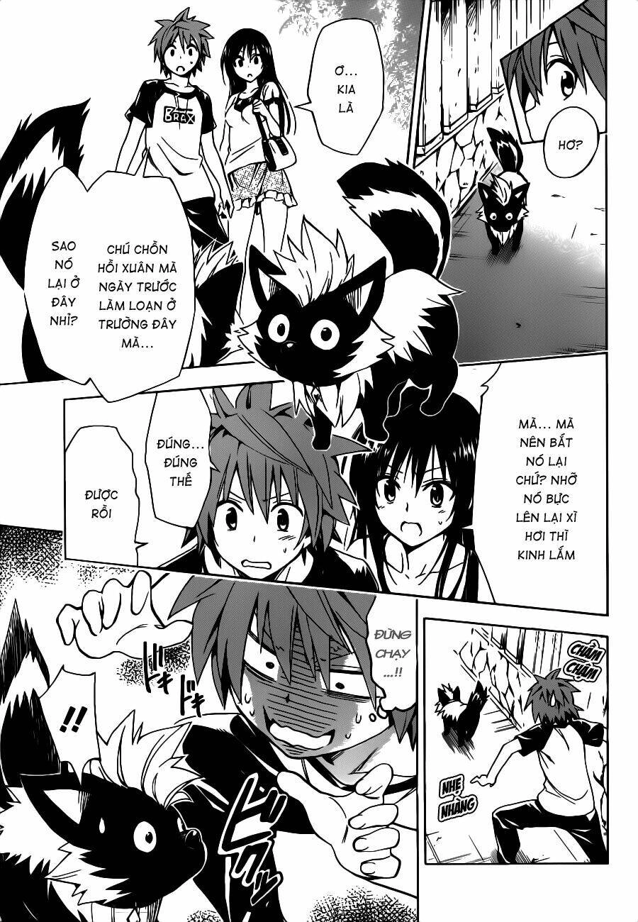 Bọn Tớ Thích Cậu! Rito 2 - Venus Chapter 25 - 8