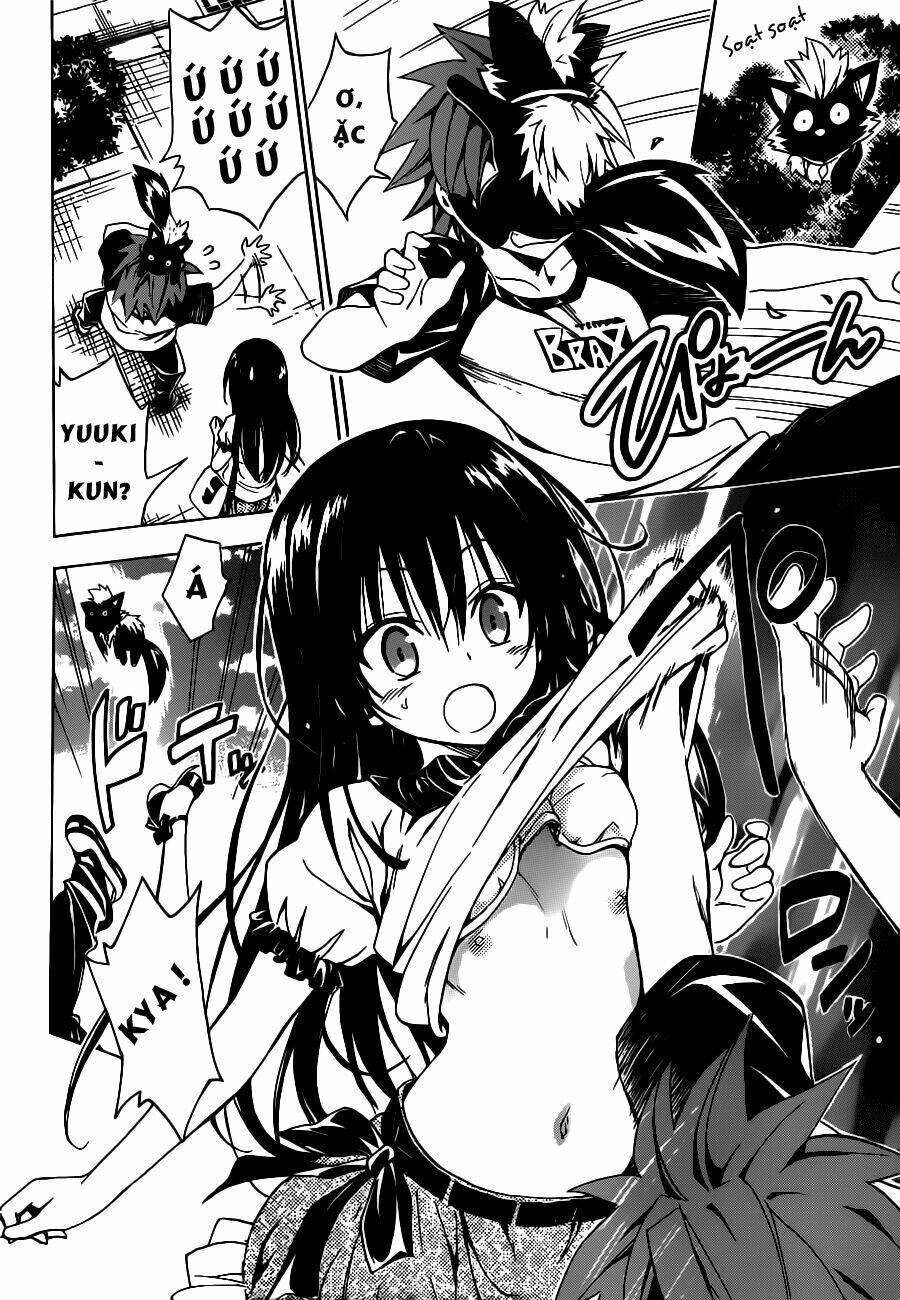 Bọn Tớ Thích Cậu! Rito 2 - Venus Chapter 25 - 23