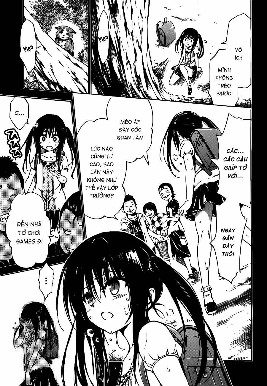 Bọn Tớ Thích Cậu! Rito 2 - Venus Chapter 25 - 28