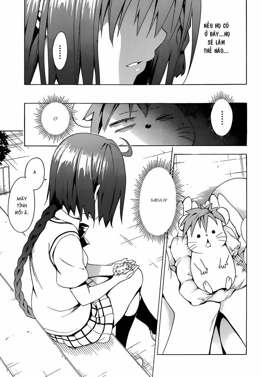 Bọn Tớ Thích Cậu! Rito 2 - Venus Chapter 37 - 32