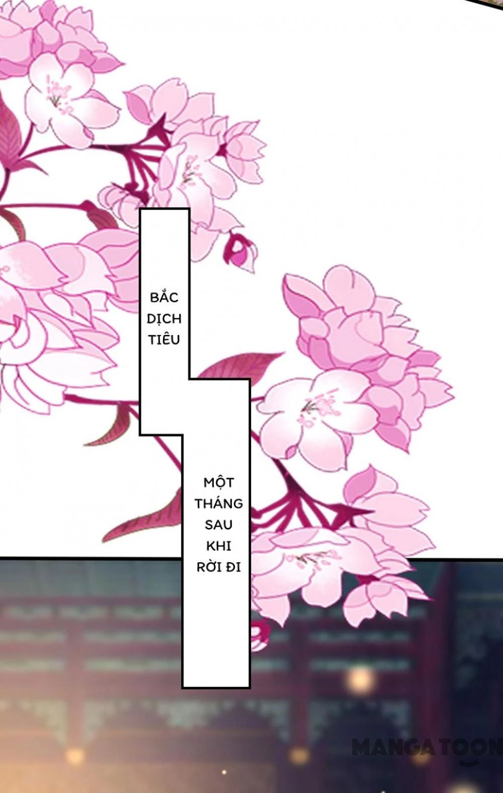 Phúc Hắc Vương Gia Đừng Làm Loạn Chapter 103 - 12