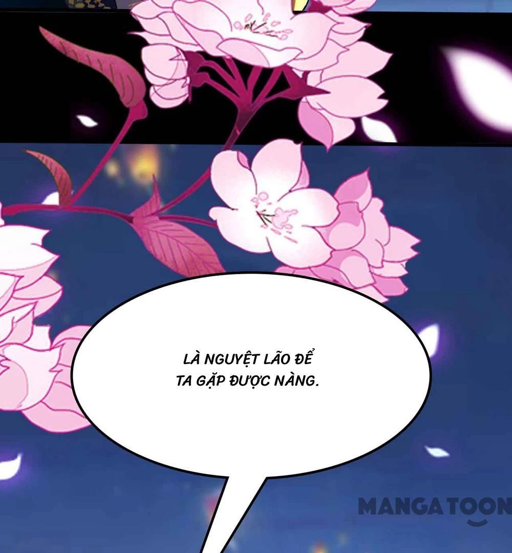 Phúc Hắc Vương Gia Đừng Làm Loạn Chapter 115 - 15