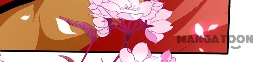 Phúc Hắc Vương Gia Đừng Làm Loạn Chapter 135 - 44